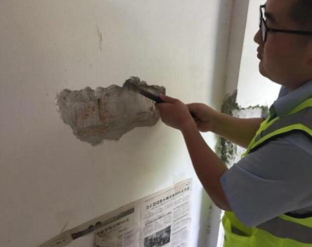 �ό����ݿ��������z�y(c��)��(n��i)��