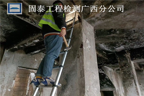 ���ݻ��(z��i)��z�y(c��)�F(xi��n)��(ch��ng)�z�y(c��)��(n��i)��